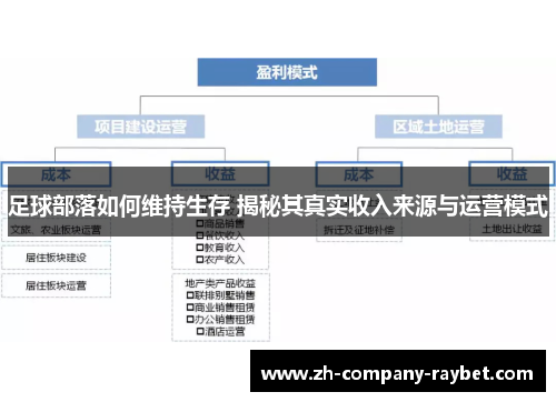 足球部落如何维持生存 揭秘其真实收入来源与运营模式