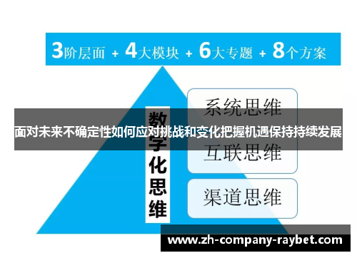 面对未来不确定性如何应对挑战和变化把握机遇保持持续发展