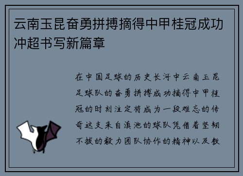 云南玉昆奋勇拼搏摘得中甲桂冠成功冲超书写新篇章